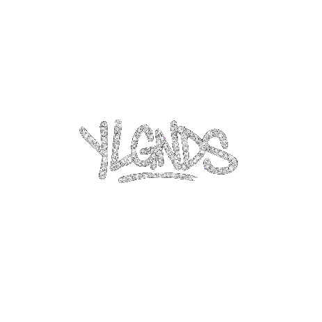 YL CLOTHING CO