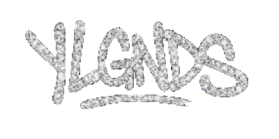 YL CLOTHING CO